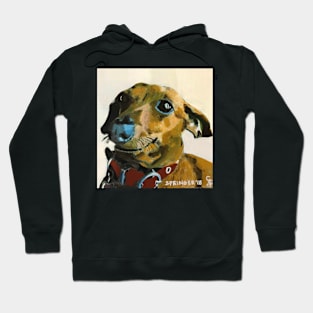 Dachshund Hoodie